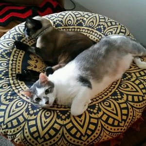 Meet your Posher, Denisse